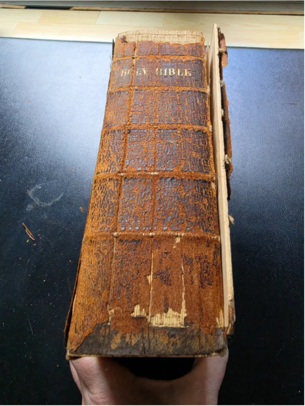 1854 Holy Bible Family Records LOWE DAMON Genealogy Pre Civil War Antique Book